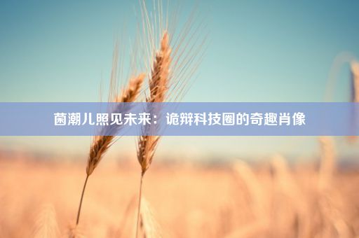 菌潮儿照见未来：诡辩科技圈的奇趣肖像