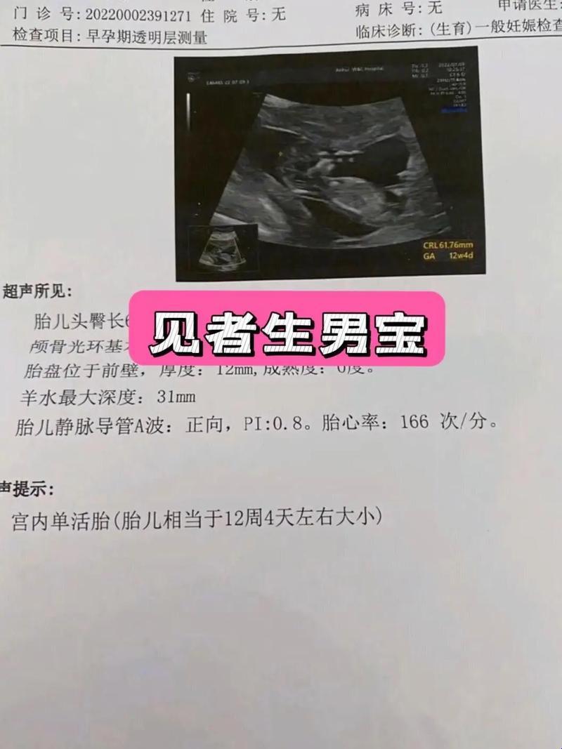 胎头纯生嘶哑难产文:一场科技江湖的狂欢还是群体的智慧？