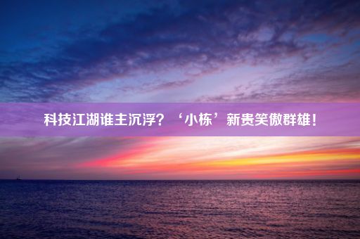 科技江湖谁主沉浮？‘小栋’新贵笑傲群雄！