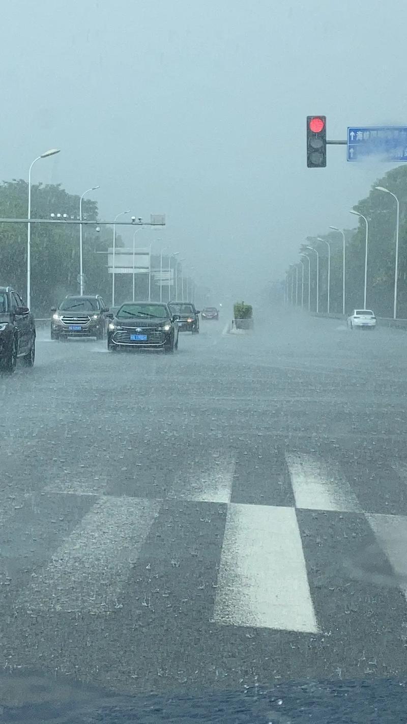 “边走边唱，暴雨中闹哪样？科技界的‘湿身’奇观”