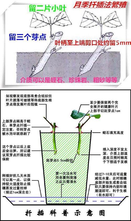 欧式45种插花奇术，疯狂来袭！全民热议的魔性话题