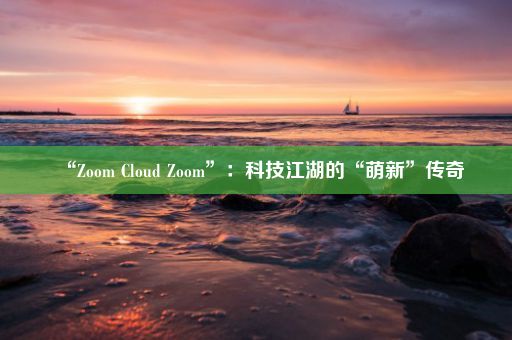 “Zoom Cloud Zoom”：科技江湖的“萌新”传奇