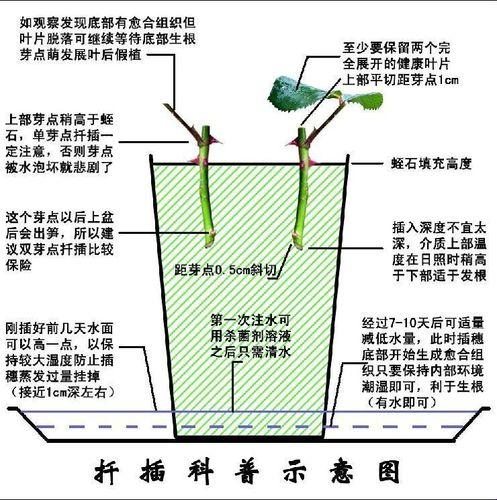 "72欧式插法"狂潮来袭，注意事项笑掉大牙！