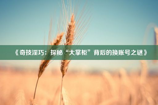 《奇技淫巧：探秘“大掌柜”背后的换账号之谜》