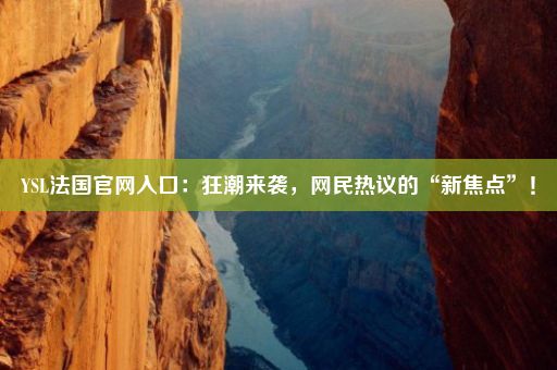 YSL法国官网入口：狂潮来袭，网民热议的“新焦点”！