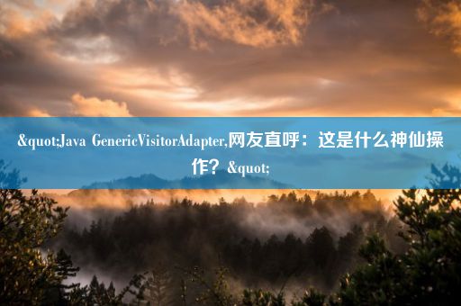 "Java GenericVisitorAdapter,网友直呼：这是什么神仙操作？"