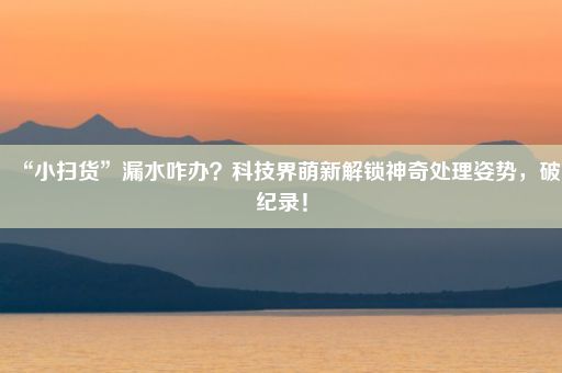 “小扫货”漏水咋办？科技界萌新解锁神奇处理姿势，破纪录！