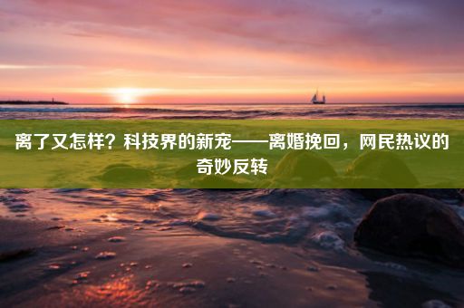 离了又怎样？科技界的新宠——离婚挽回，网民热议的奇妙反转