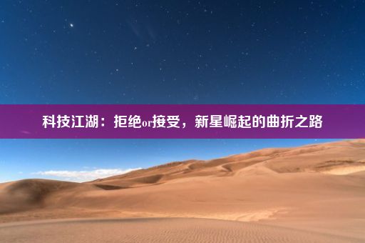 科技江湖：拒绝or接受，新星崛起的曲折之路