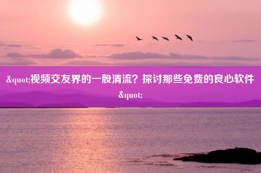 "视频交友界的一股清流？探讨那些免费的良心软件"