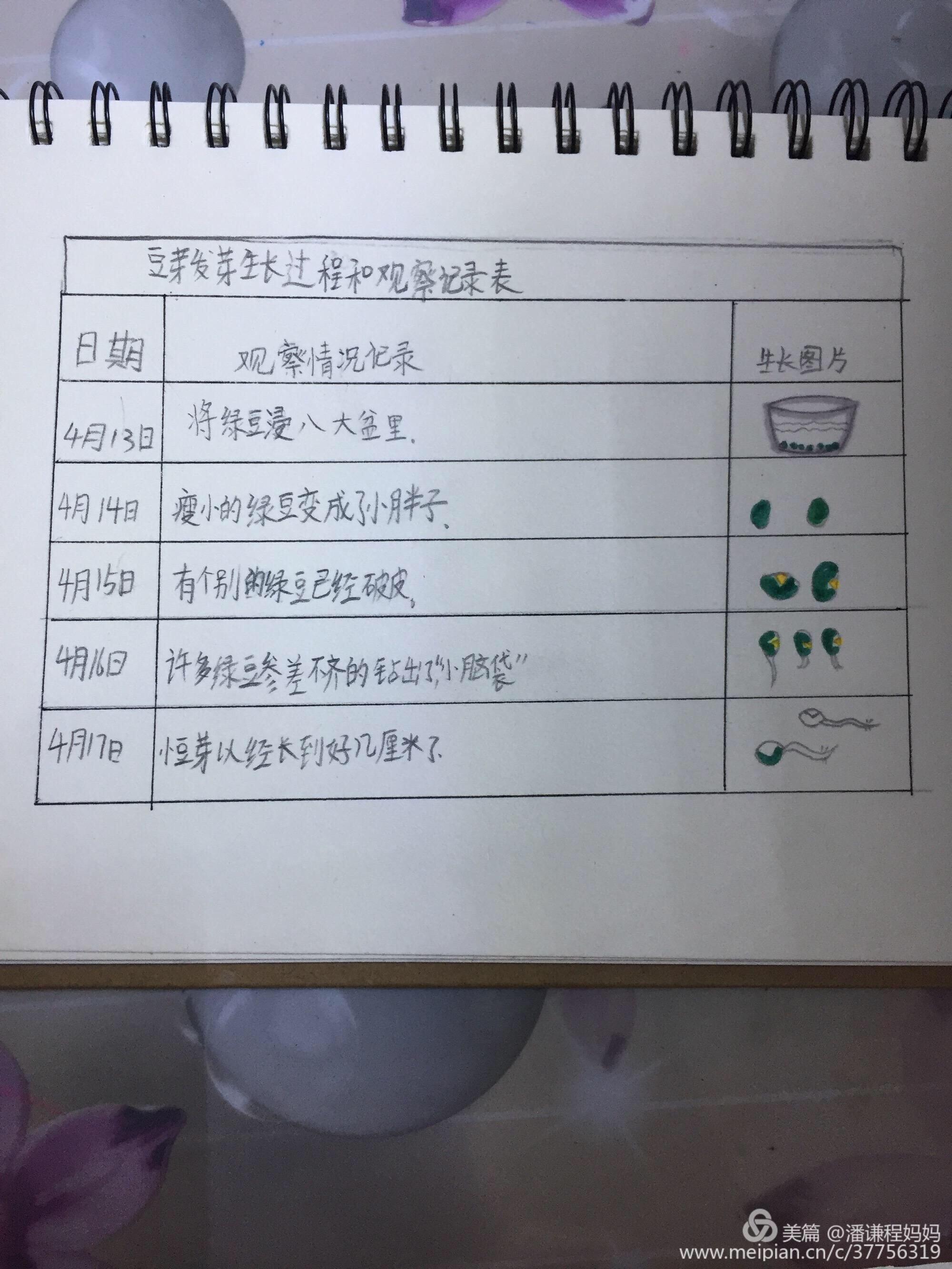 《探秘成长密语③：观潮儿笑谈》