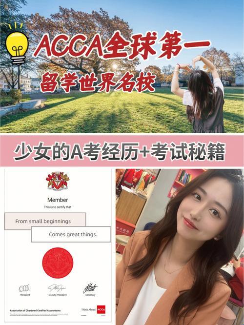 "ACCA少女sdanvi成分剖析：另辟蹊径的匠心独运"