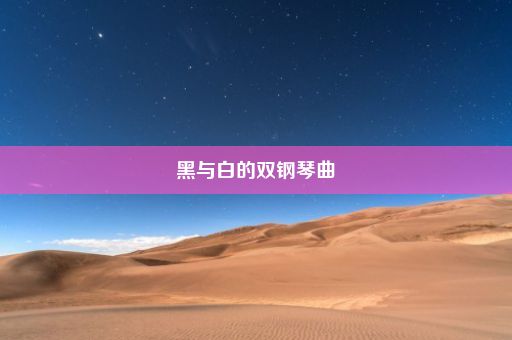 黑与白的双钢琴曲