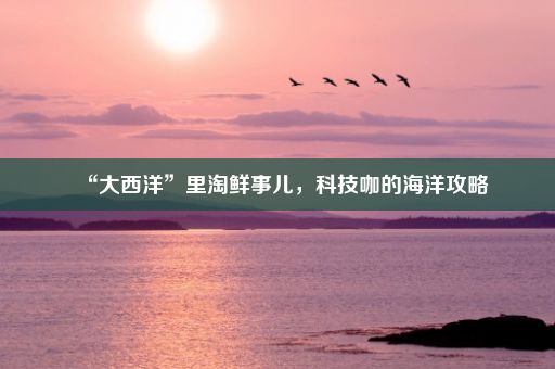 “大西洋”里淘鲜事儿，科技咖的海洋攻略