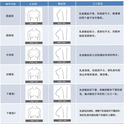 “B大与小，笑谈科技圈里的江湖”