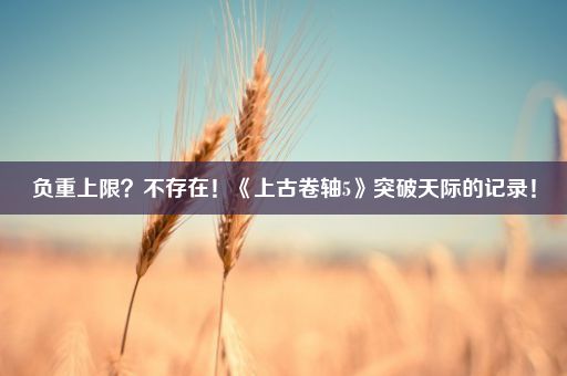 负重上限？不存在！《上古卷轴5》突破天际的记录！