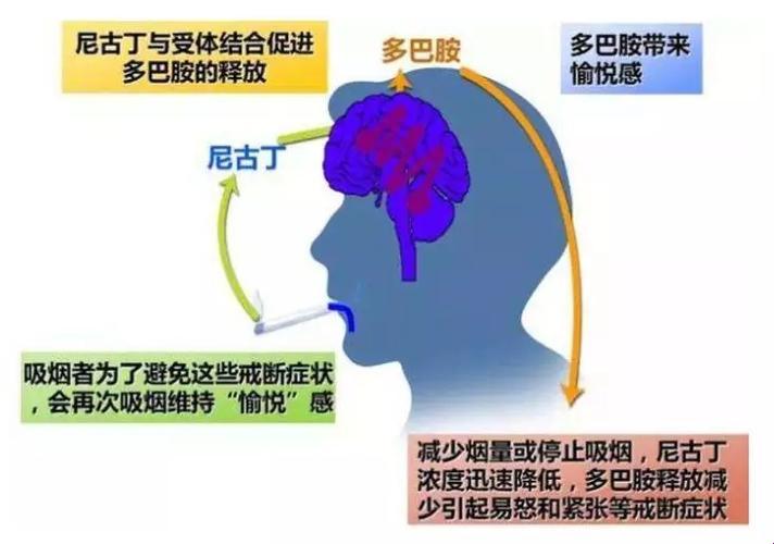 "B能吸烟"揭秘：科技狂潮下的黑色幽默