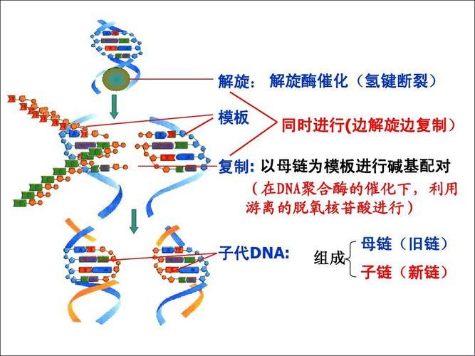 "DNA/RNA杂交，潮流or搞笑？网友热议的科技新梗"