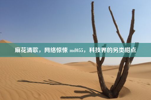 麻花清歌，网络惊悚 md055，科技界的另类甜点