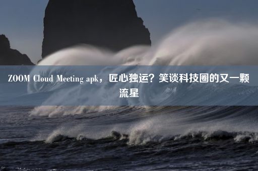 ZOOM Cloud Meeting apk，匠心独运？笑谈科技圈的又一颗流星