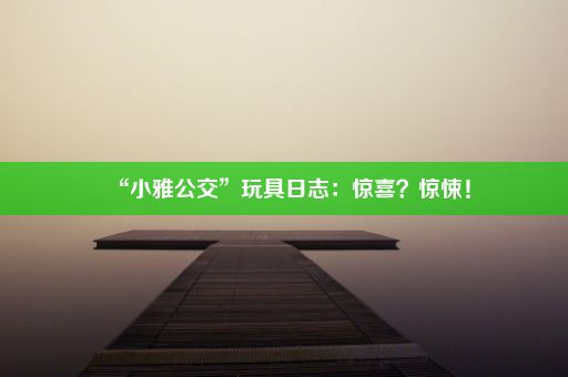 “小雅公交”玩具日志：惊喜？惊悚！