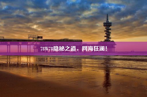 78W78隐秘之道，网海狂澜！