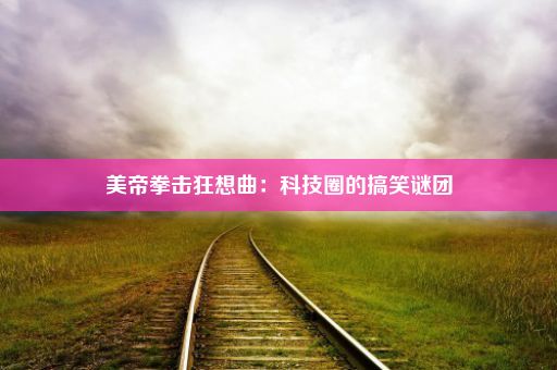 美帝拳击狂想曲：科技圈的搞笑谜团