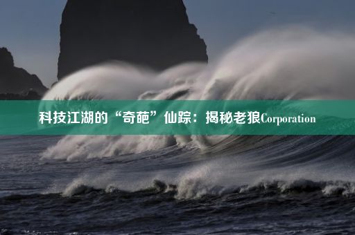 科技江湖的“奇葩”仙踪：揭秘老狼Corporation