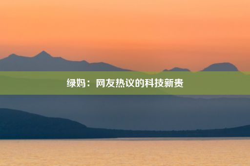 绿妈：网友热议的科技新贵