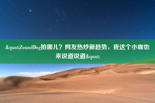 "ZoundDog拍哪儿？网友热炒新趋势，我这个小咖也来说道说道"