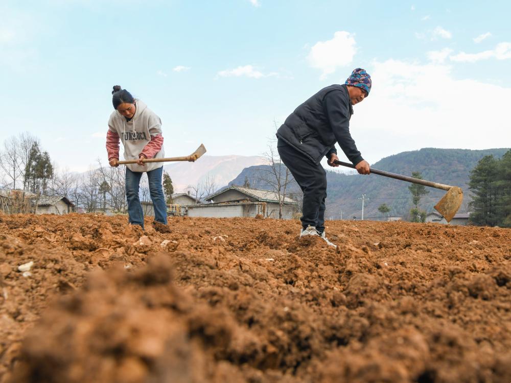 耕母地，全球瞪我独嘲：科技圈的新笑话