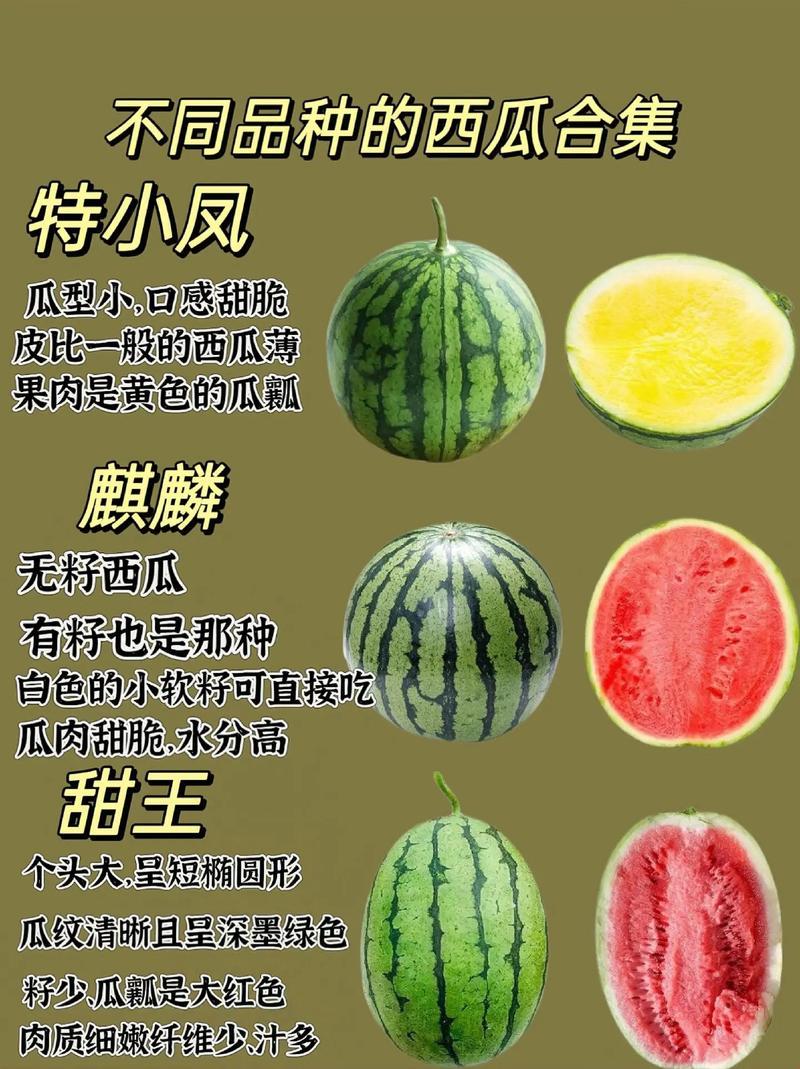 年度科技大瓜盘点：笑岔气，泪崩坏，一瓜还比一瓜嗨！