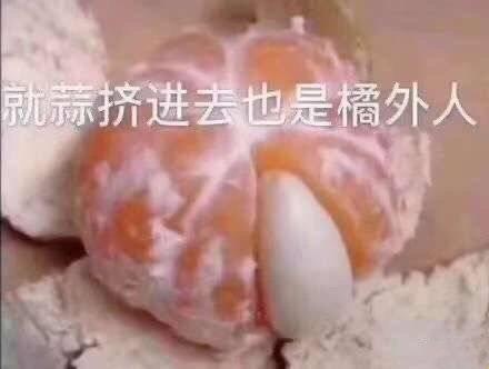 “蒜”味咖啡，重启人生：科技新星的另类崛起