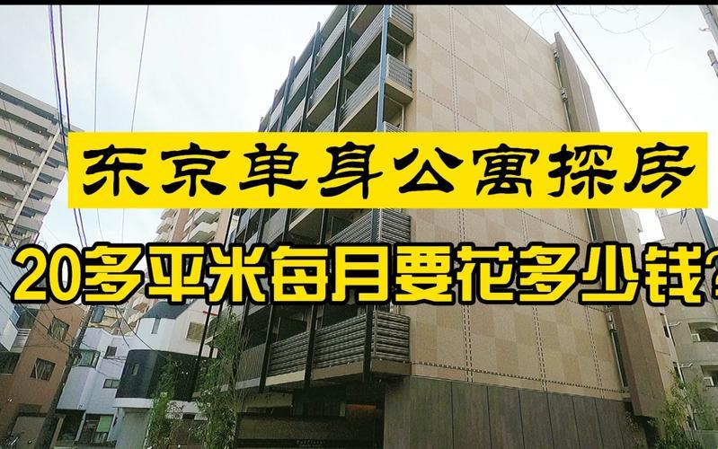 “东京20平的蜗居，人民币多少能拿下？全球热议，笑谈中探金钱游戏”