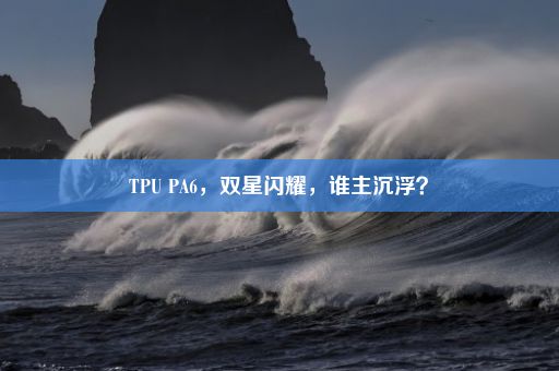 TPU PA6，双星闪耀，谁主沉浮？