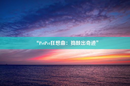 “PetPet狂想曲：捣鼓出奇迹”