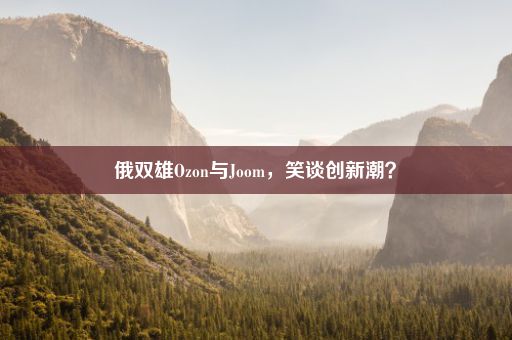 俄双雄Ozon与Joom，笑谈创新潮？