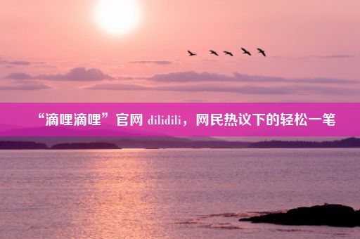 “滴哩滴哩”官网 dilidili，网民热议下的轻松一笔