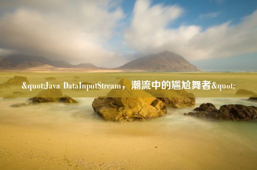 "Java DataInputStream，潮流中的尴尬舞者"