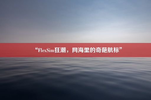 “FlexSim狂潮，网海里的奇葩航标”