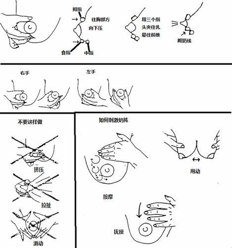 挤牛奶拔萝卜新潮流：科技圈的趣味热点