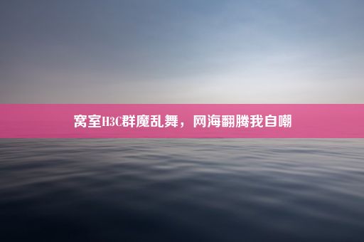 窝室H3C群魔乱舞，网海翻腾我自嘲