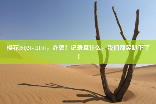 樱花JSQ24-12C01，炸裂！记录算什么，我们都笑趴下了！