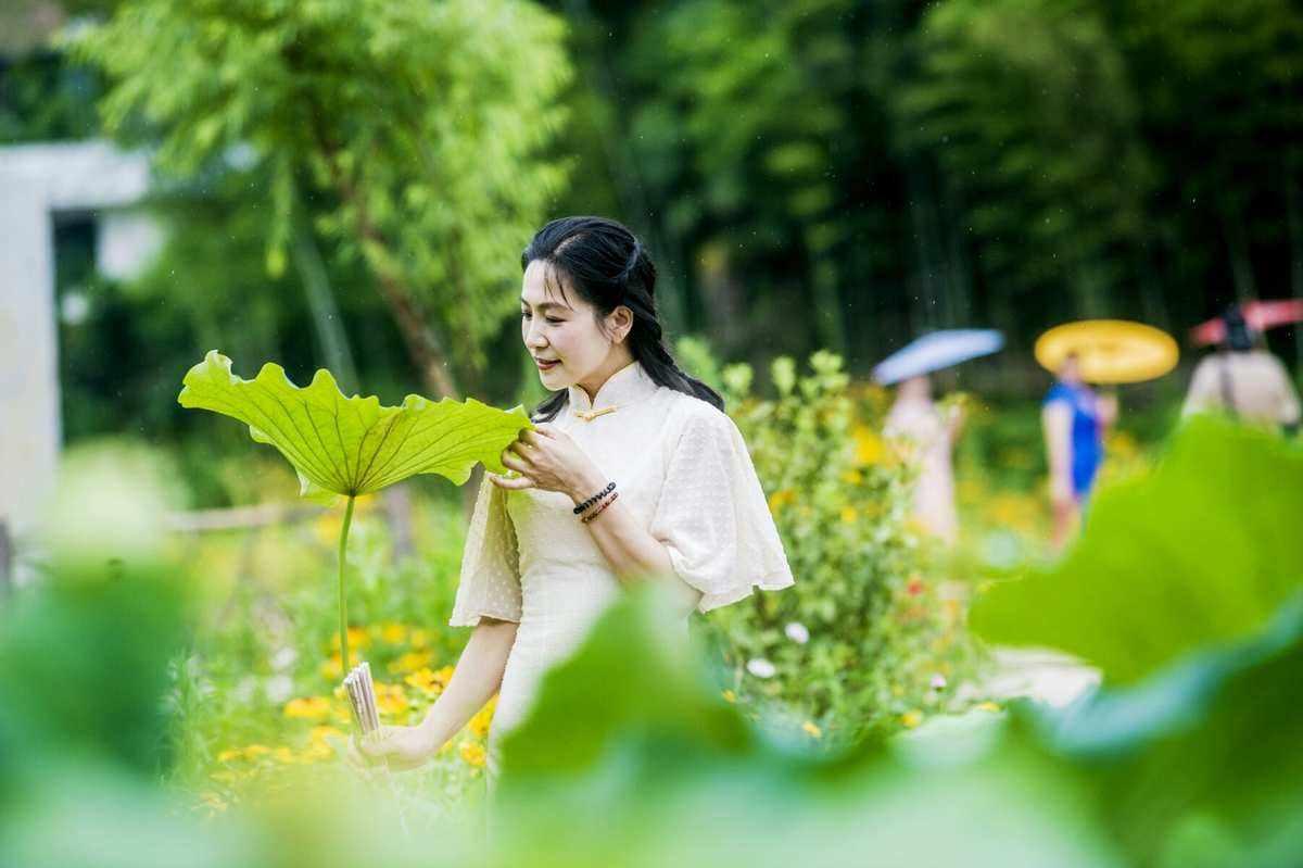 《荷塘魅影：解码女孩的暗示迷宫》