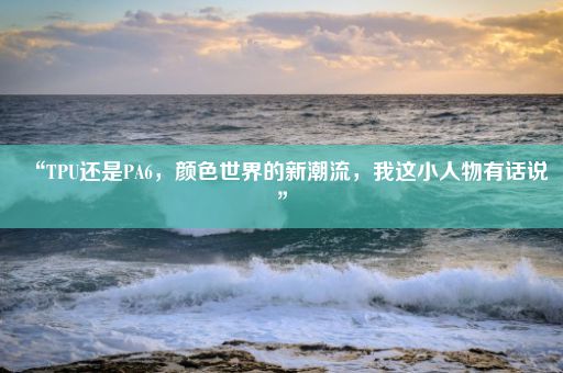 “TPU还是PA6，颜色世界的新潮流，我这小人物有话说”