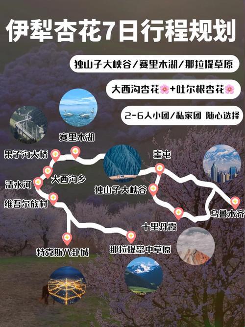 "伊犁园20233秒转入，潮流巅峰的尴尬舞者"