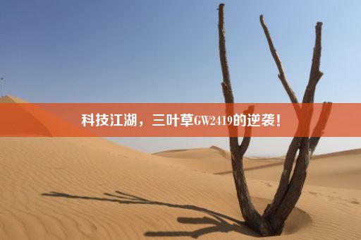 科技江湖，三叶草GW2419的逆袭！