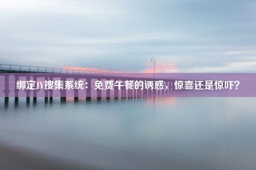 绑定JY搜集系统：免费午餐的诱惑，惊喜还是惊吓？