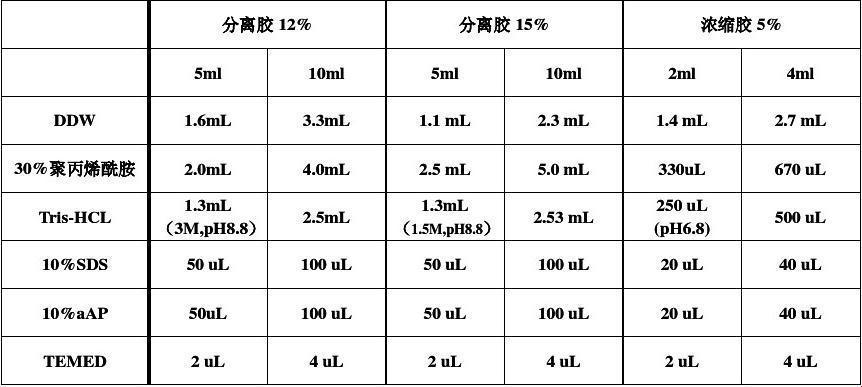 “日本人胶配方整个过程”：膨胀的科技泡沫，崛起的笑料新星