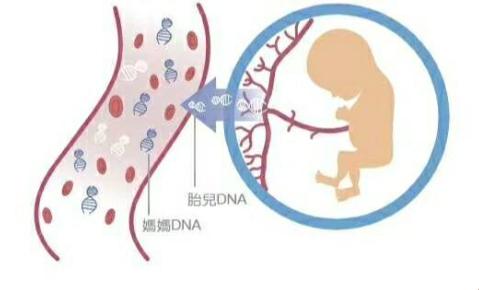 “妈咪DNA，热情燃爆！——科技界的‘亲子奥秘’”